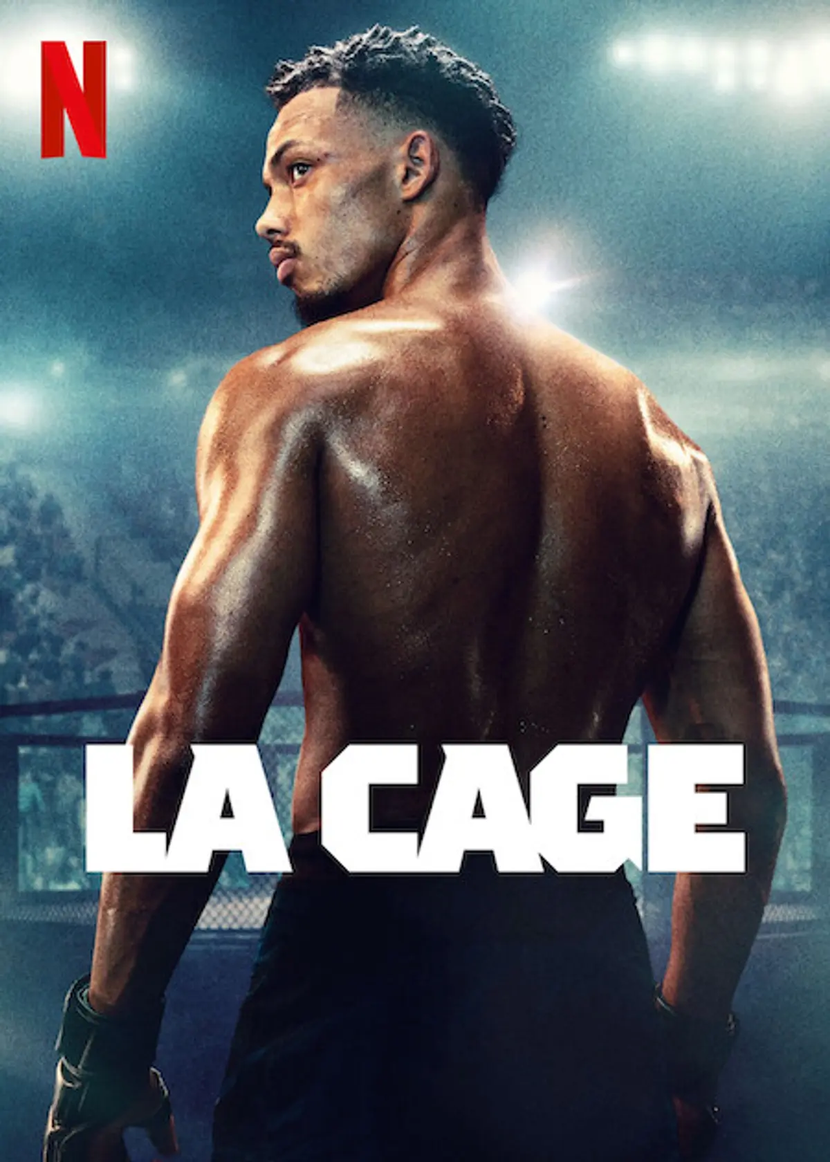 bg cover for La Cage