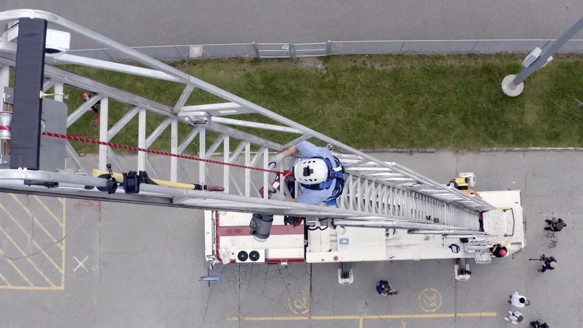 bg cover for Le gros laboratoire